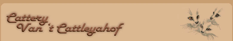 banner fabienne